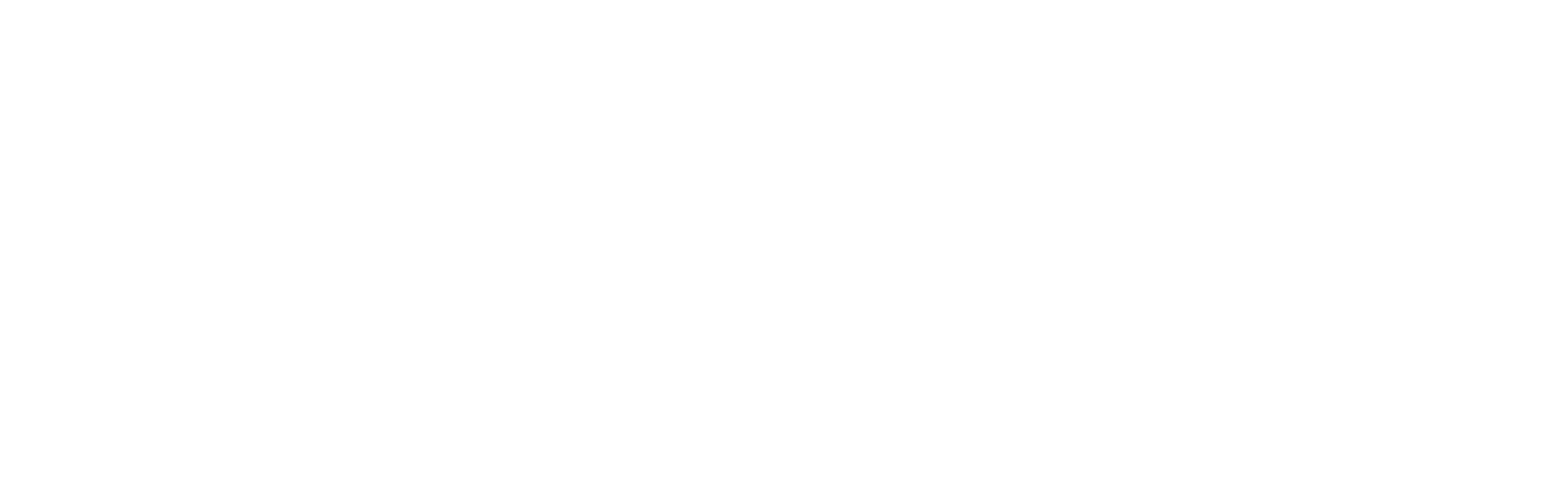 American Amicable Logo
